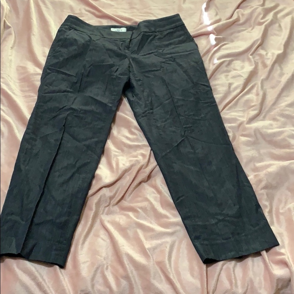 Loft Pants